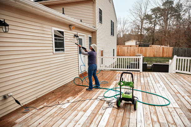 Best Exterior Home Cleaning  in Crystal Falls, MI