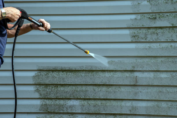 Best Affordable Pressure Washing  in Crystal Falls, MI
