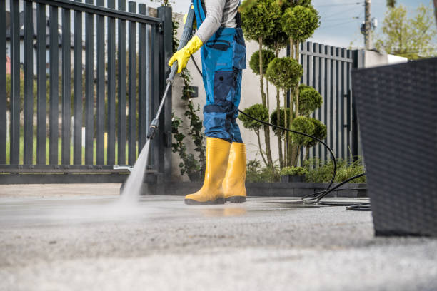 Best Residential Pressure Washing Services  in Crystal Falls, MI